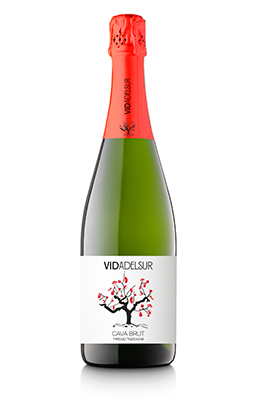 Vidadelsur Cava BRUT 11,5%