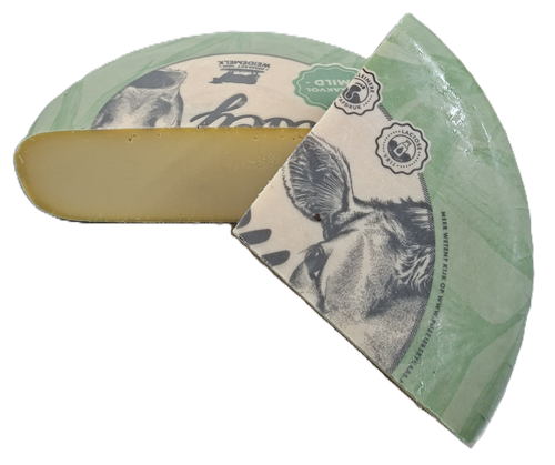 GOLD Single Jersey 200g. stk.